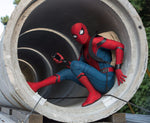 Spiderman Costume