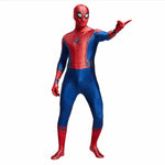 Spiderman Costume