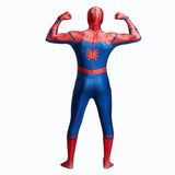 Spiderman Costume