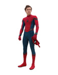 Spiderman Costume